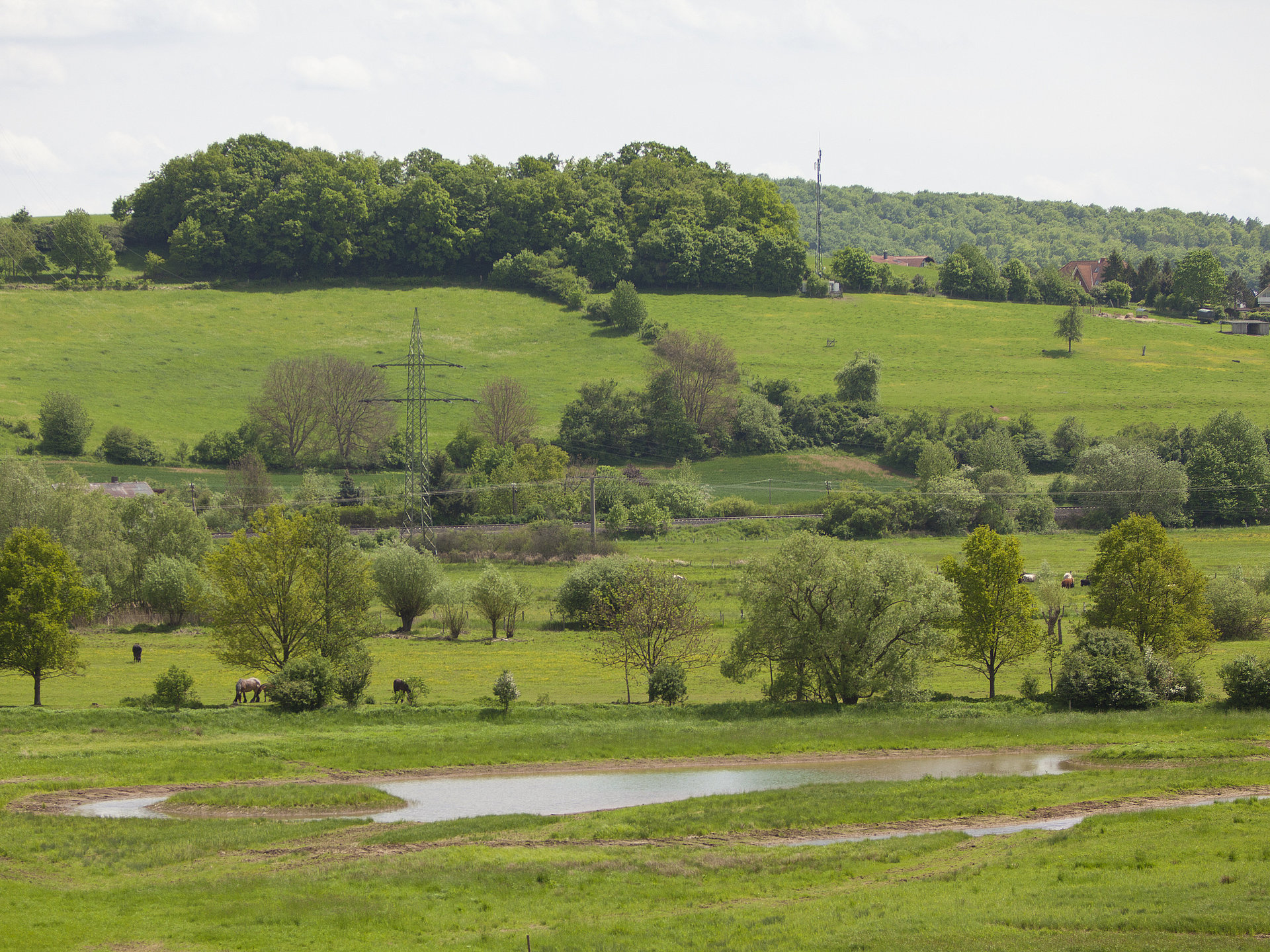 Teiche und Wasserfläche