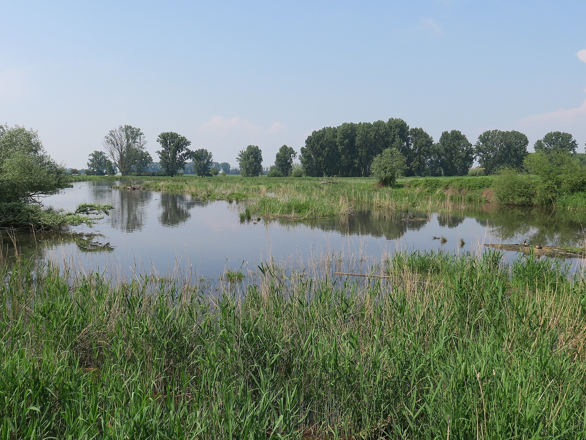 Frühjahrshochwasser