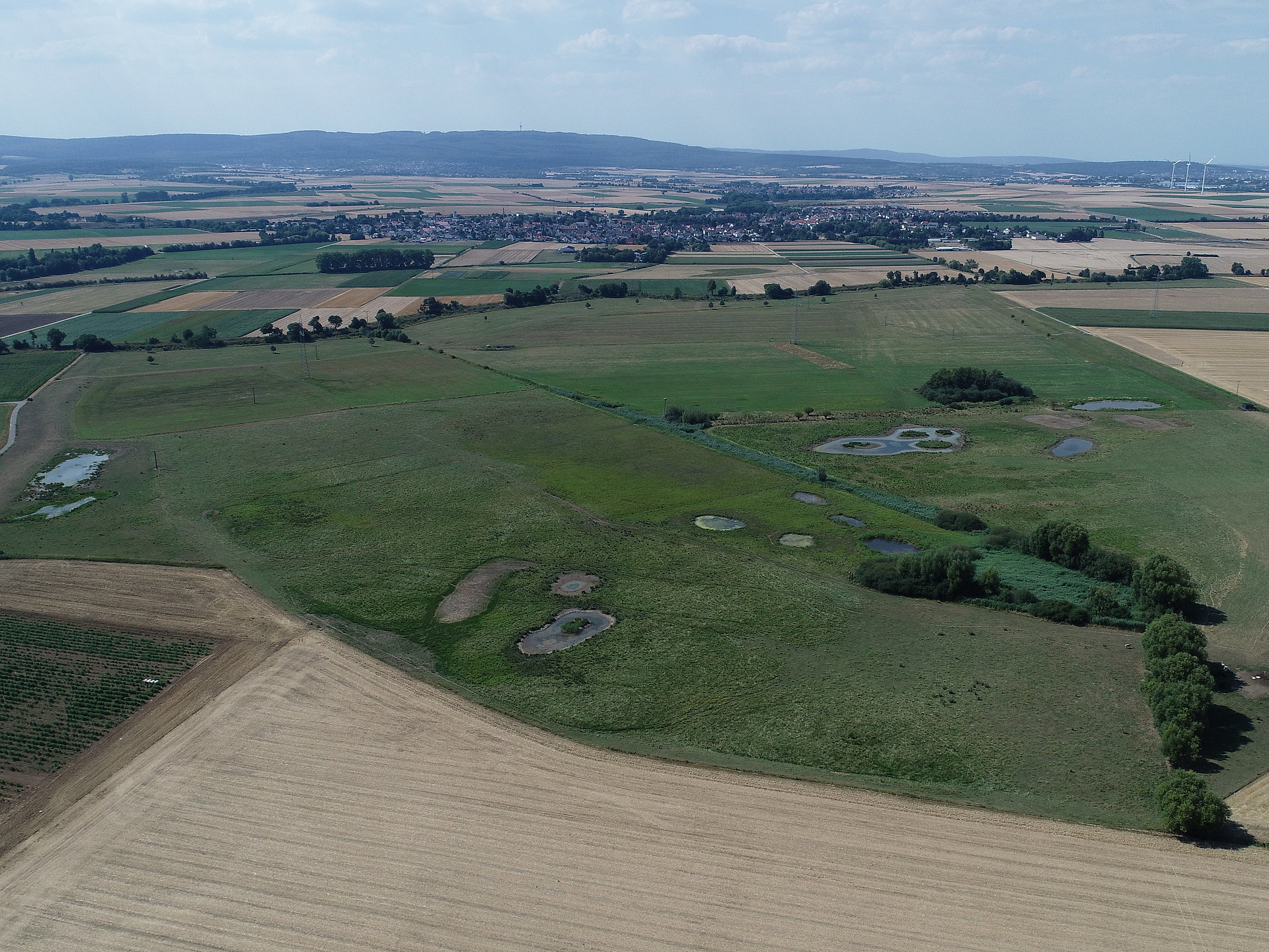 Auenlandschaft an der Nidda