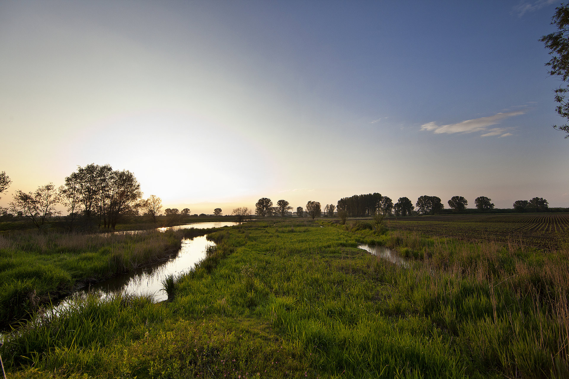 Die Landgrabenaue