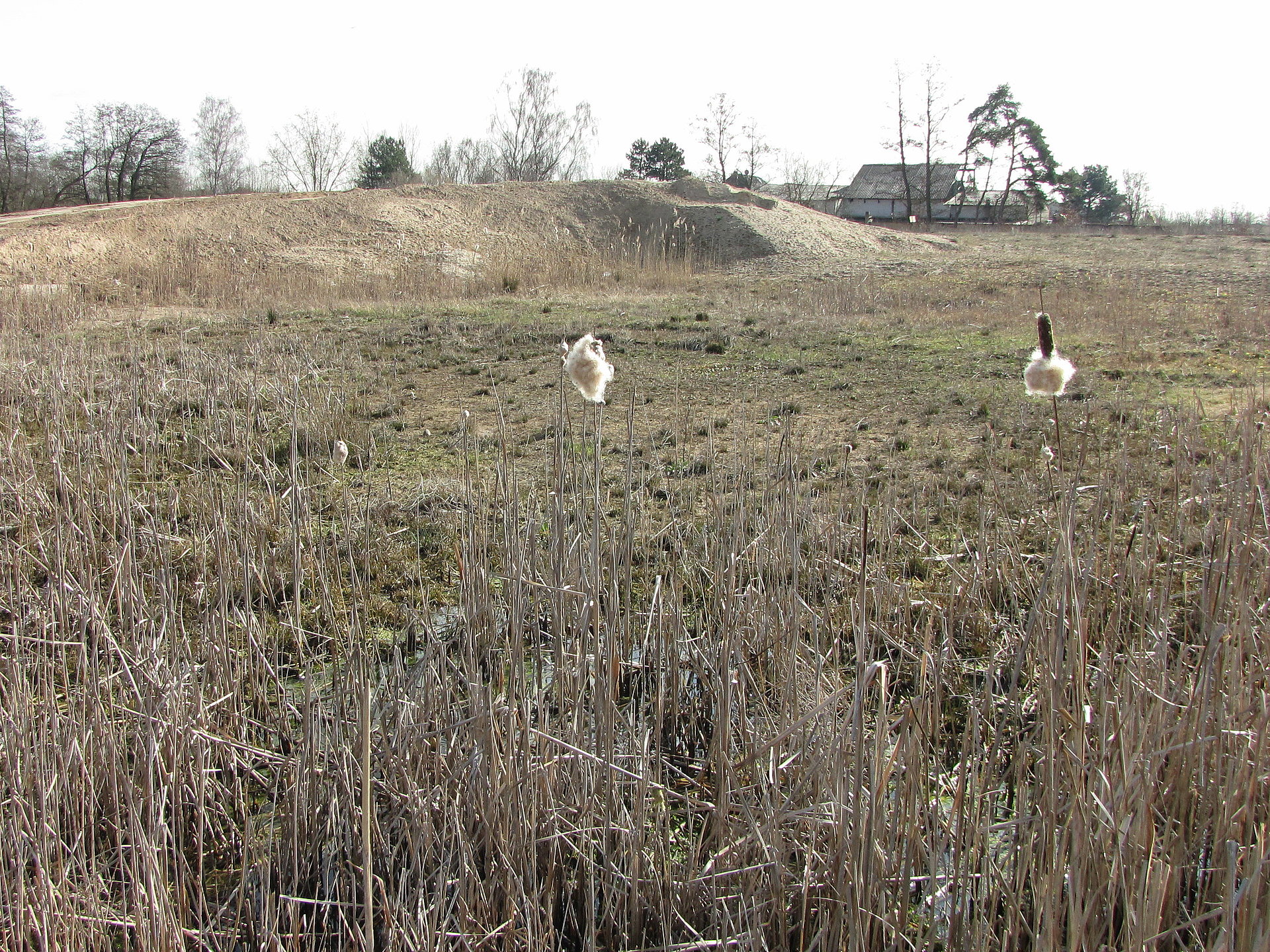 Apelbachdüne in Weiterstadt-Gräfenhausen