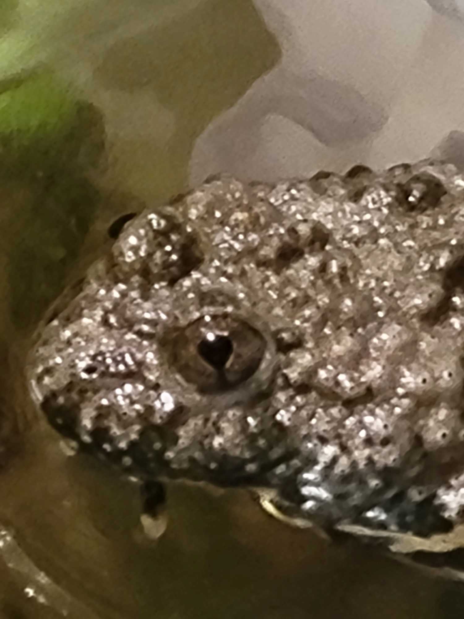 Herzchen im Blick - nicht nur am Valentinstag - Hessische ... Herzchen im Blick - nicht nur am Valentinstag - Hessische ...